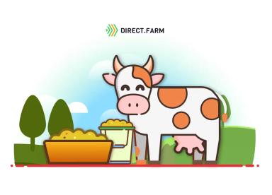 Особенности кормления нетелей