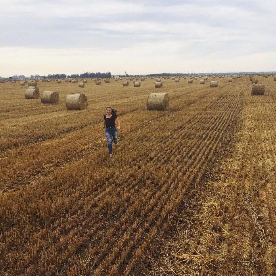 новости с полей