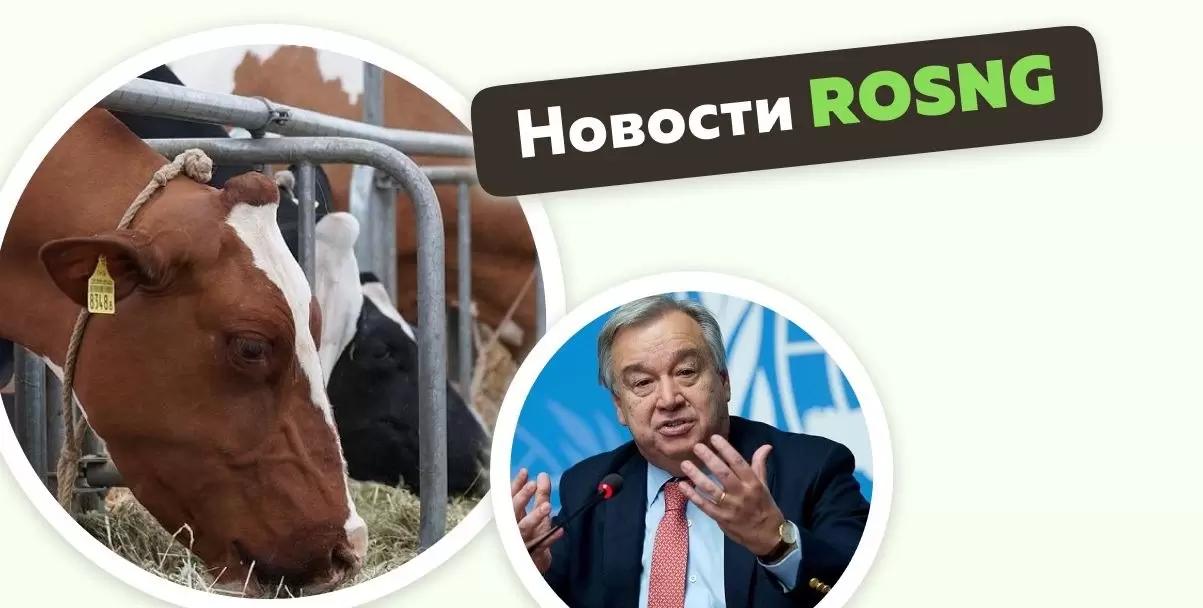 Обзор новостей за 14 сентября