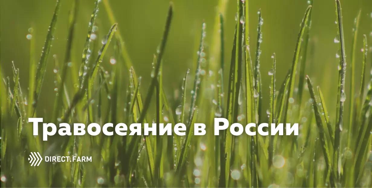 Перспективы развития травосеяния в России