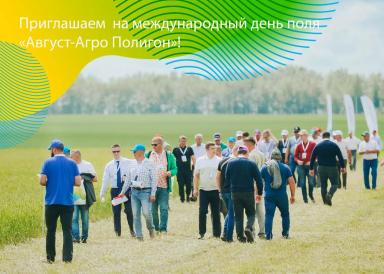 Приглашаем вас на международный день поля «Август-Агро Полигон»!