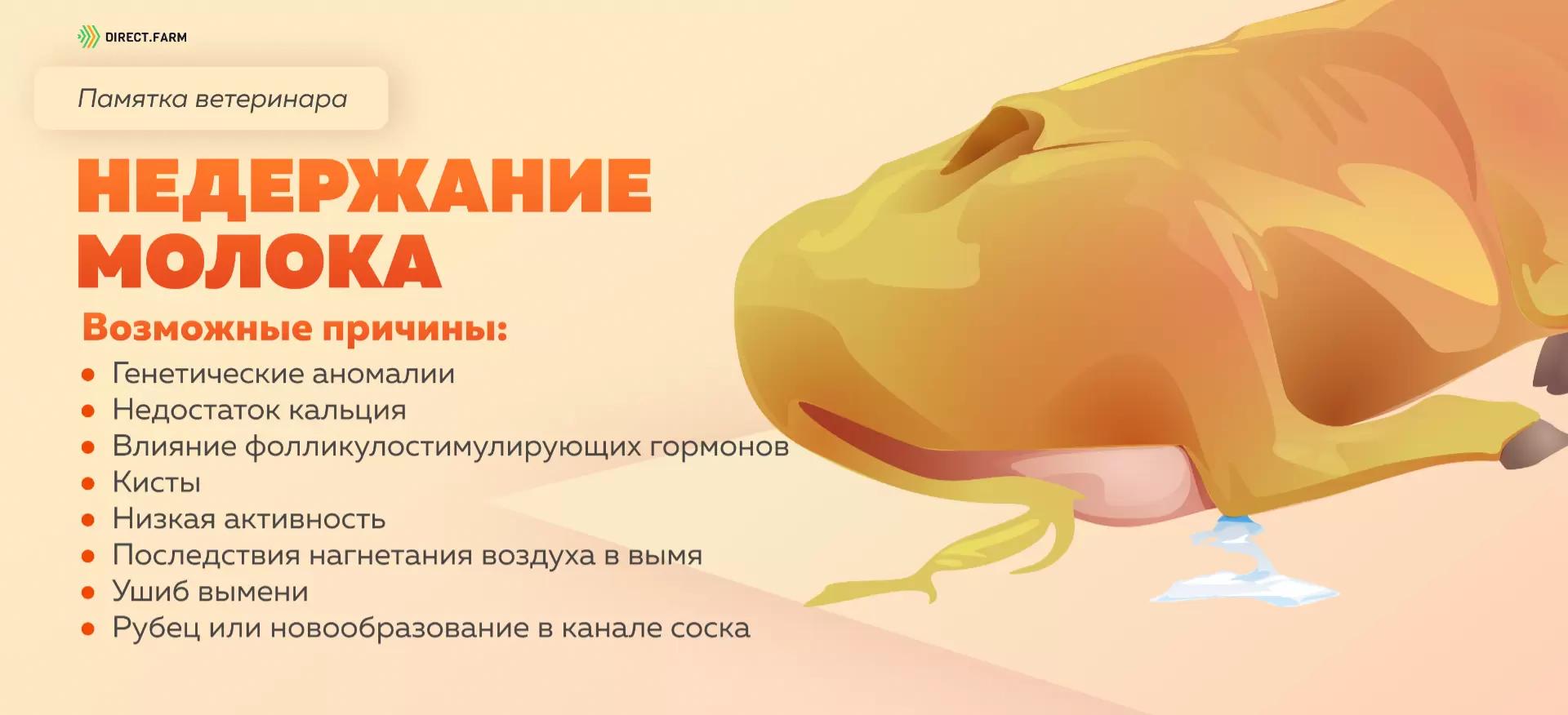 Памятка ветеринара: недержание молока у коров