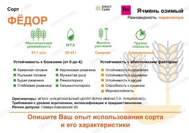 Фёдор сорт озимого ячменя