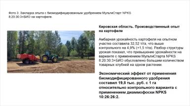 Опыты на овощных культурах: капуста белокочанная, морковь, картофель