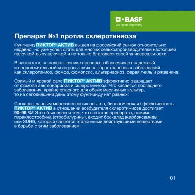 ПИКТОР® АКТИВ: выгодное решение для защиты подсолнечника и рапса от болезней