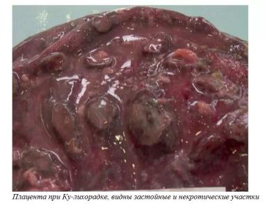 Харвуд – "Ветеринарное руководство по здоровью и благополучию коз". Гл. 6., ч. 2