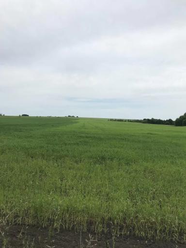 Здравствуйте!Что это может быть?