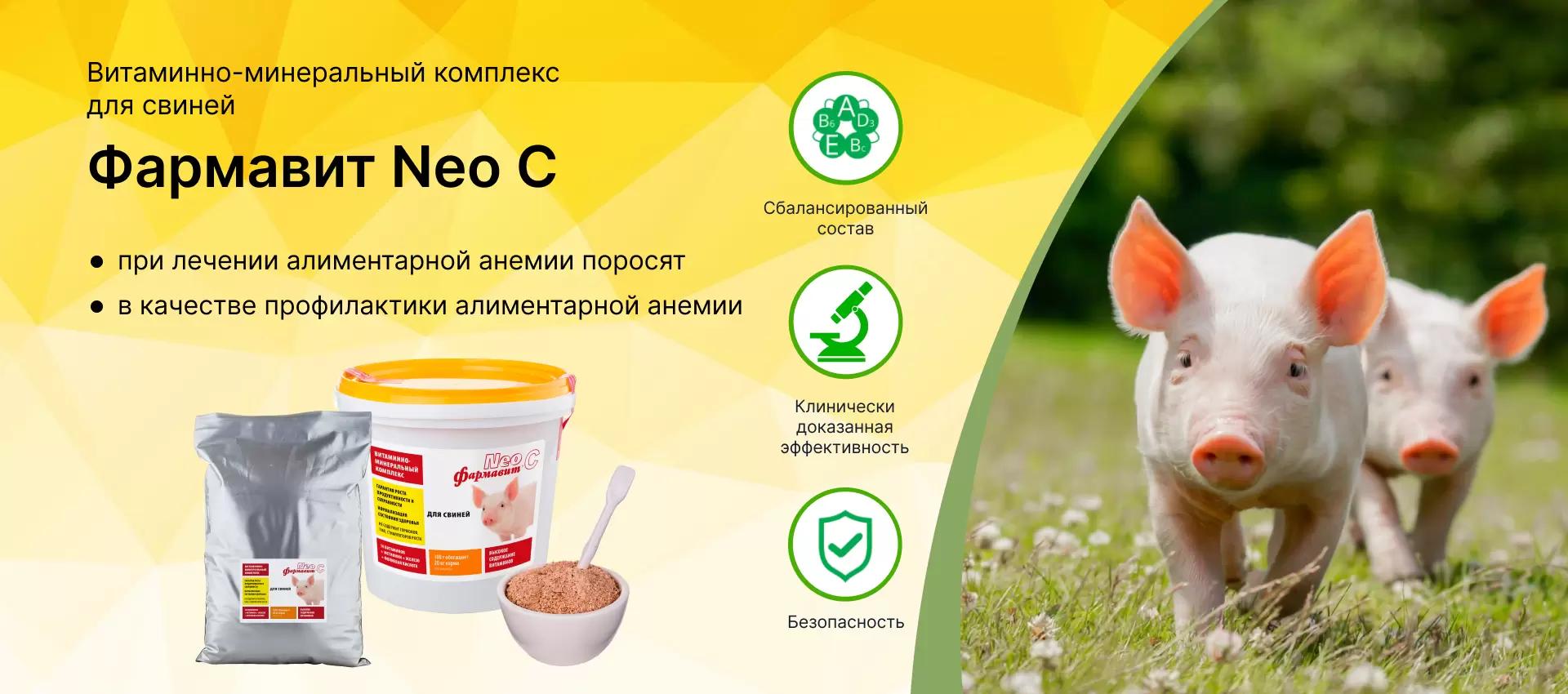 Алиментарная анемия поросят — что это такое?