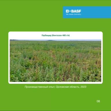 БАЗАГРАН® и другие бентазон-содержащие гербициды на сое: правда и мифы