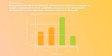 Предотвращение теплового стресса у бройлеров: витамин Е и цинк