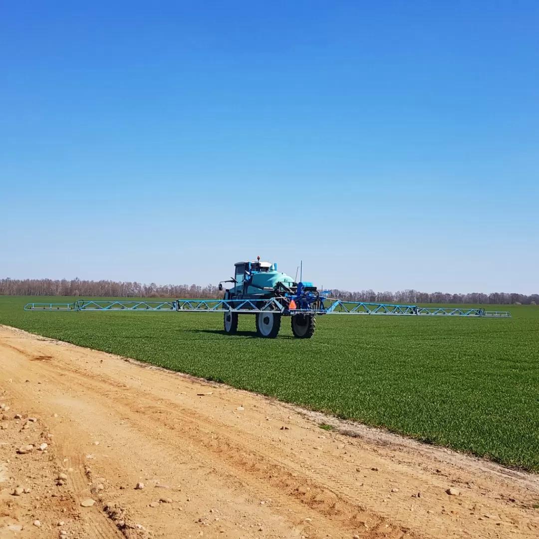 Регулятор роста на зерновые культуры