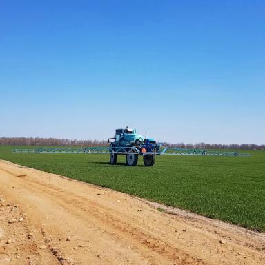 Регулятор роста на зерновые культуры