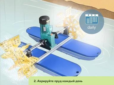 Как организовать ферму по разведению пресноводных раков. Часть 2