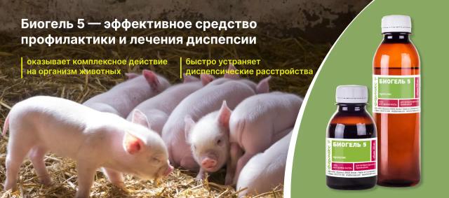 Диспепсия у молодняка сельскохозяйственных животных