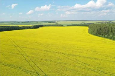 Листовые подкормки продуктами SOLAR NPK micro. Результаты опыта