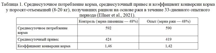 Возвращение к зерну ржи в кормлении свиней