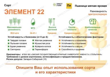 Элемент 22 ® сорт мягкой яровой пшеницы