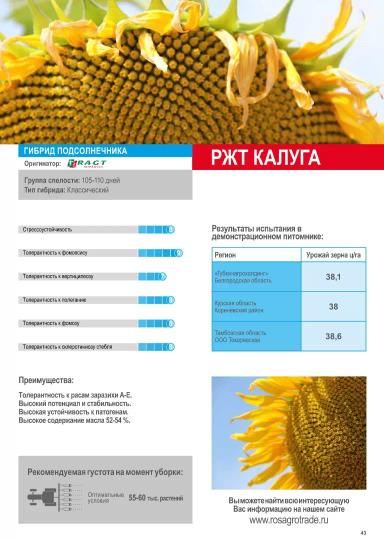 Каллуга (KALLUGA)