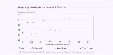 Как увеличить размер и массу плодов косточковых: элементы питания