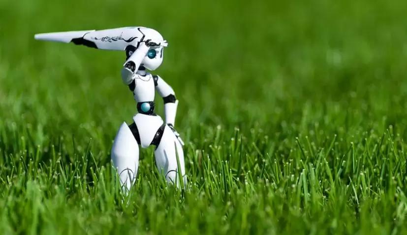 Если бы агроном работал в идеальном цифровом хозяйстве