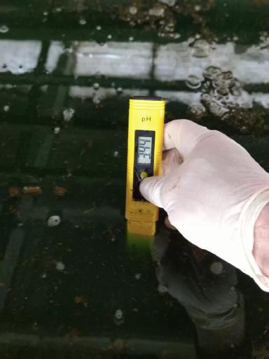 Базовые растворы для копытных ванн