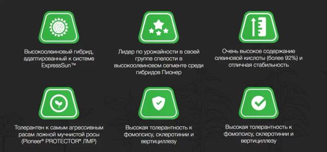 П 64 ХЕ 144 - гибрид подсолнечника Пионер