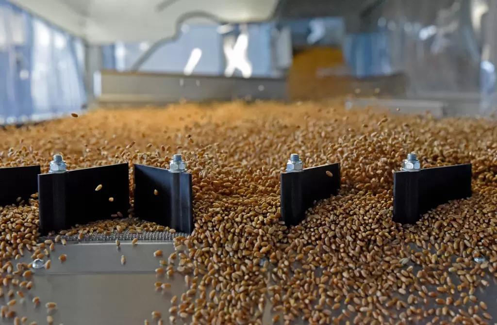 «Мираторг» обеспечен собственными семенами зерновых и зернобобовых на уровне 85%