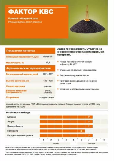Фактор КВС (FAKTOR KWS) гибрид озимого рапса