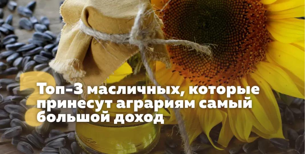 Топ-3 масличных, которые принесут аграриям самый большой доход