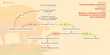 Протоколы по работе с молозивом
