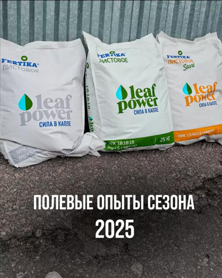 ПОЛЕВЫЕ ОПЫТЫ СЕЗОНА 2025