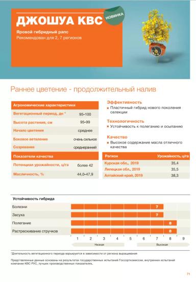 Джошуа КВС (JOSCHA KWS) сорт рапса ярового