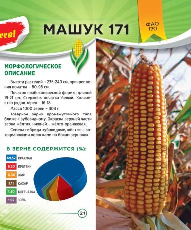 Машук 171