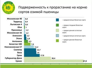 Причины прорастания зерна на корню