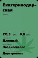 Екатеринодарская