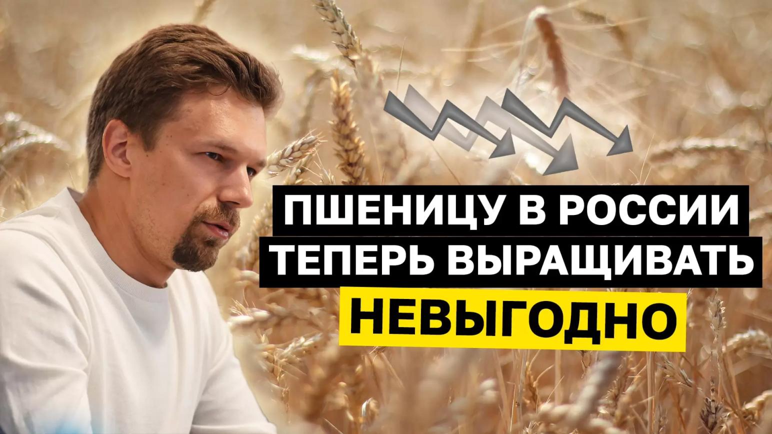 ⚡️ Моё выступление в Минсельхозе