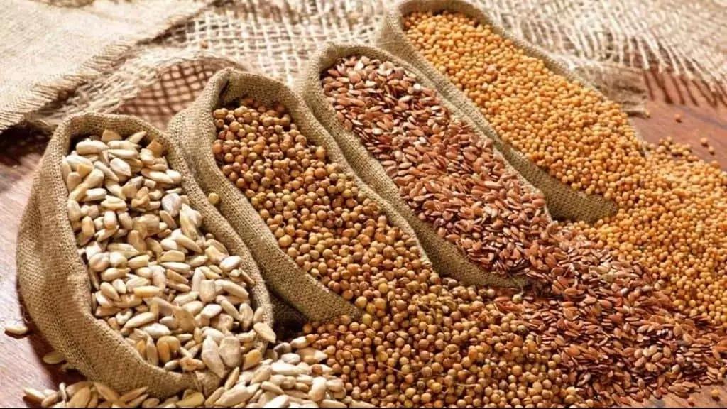 В Госдуму внесли проект об ответственности за обращение с семенами