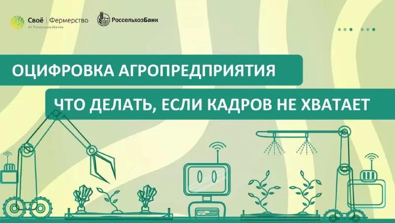 Людей в хозяйстве всё меньше. А работы всё больше?