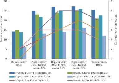 Улучшаем качество рассады овощных культур, практика применения Вермикулита.