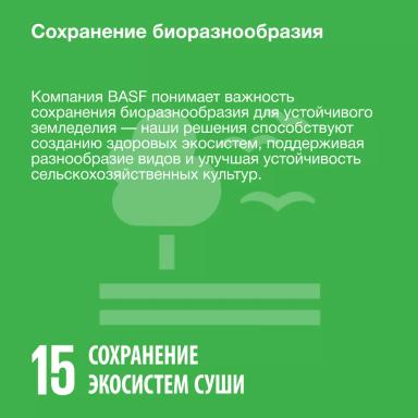 Неделя Устойчивого развития