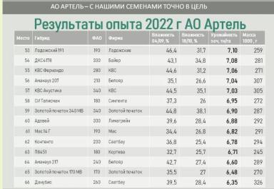 Алгоритм выбора гибрида кукурузы