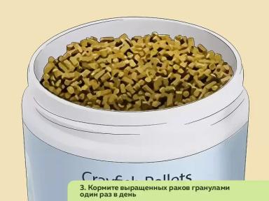 Как организовать ферму по разведению пресноводных раков. Часть 3