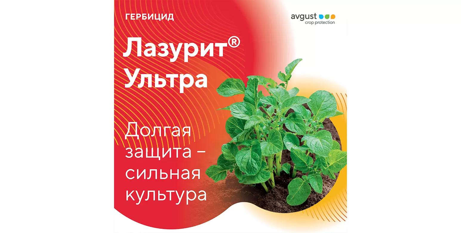 Лазурит® Ультра – надежная защита картофеля от сорняков
