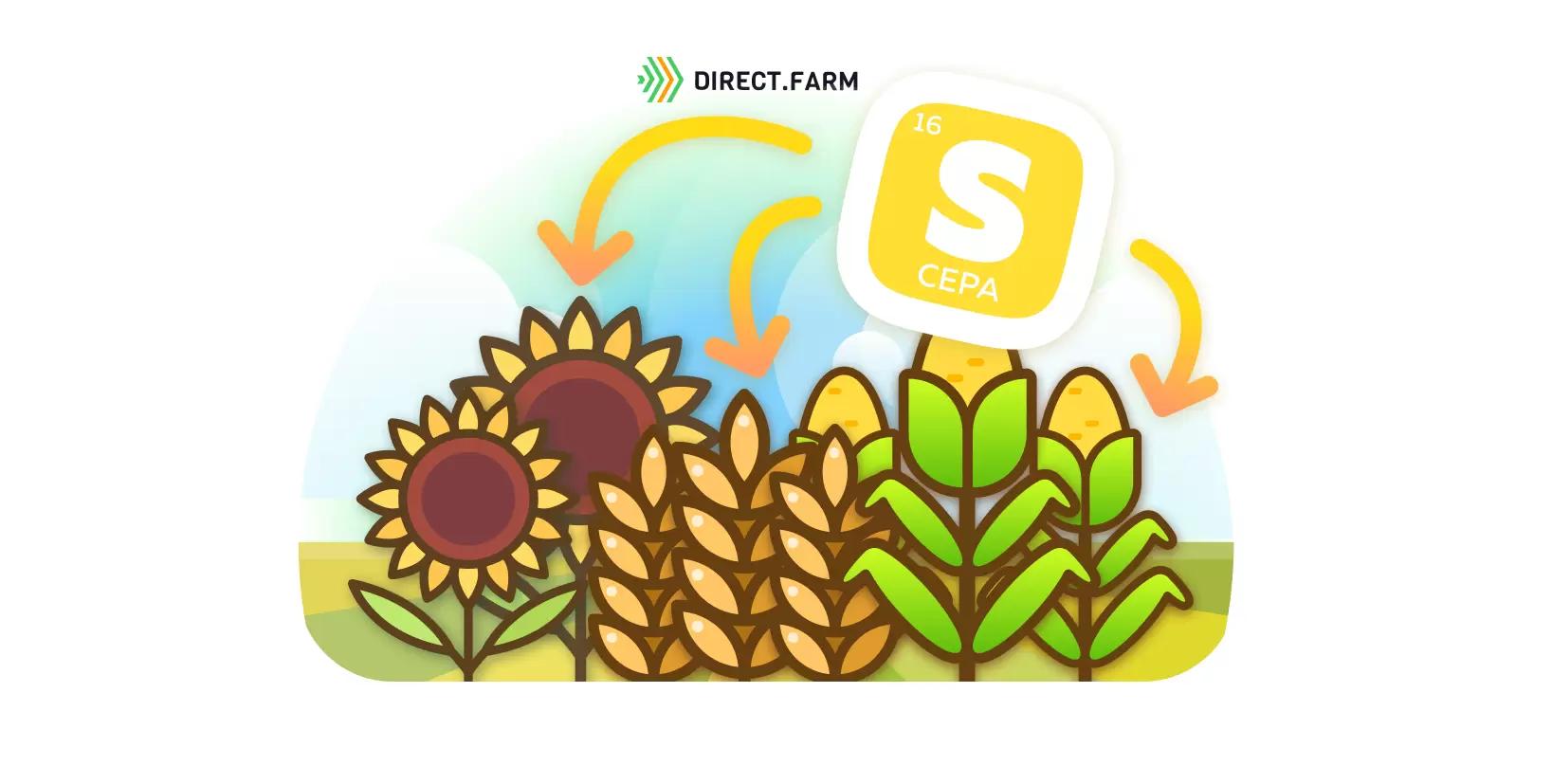 Удобрения с серой - эффективность