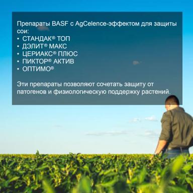 Соевый агрокалендарь