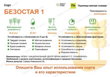 Безостая 1 сорт мягкой озимой пшеницы
