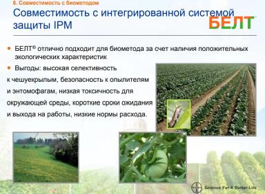 Борьба с яблонной плодожоркой – практические рекомендации