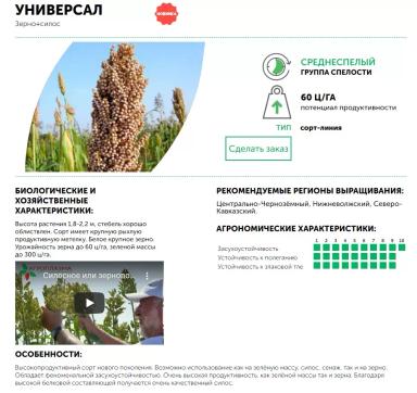 Универсал - сорт сорго универсального