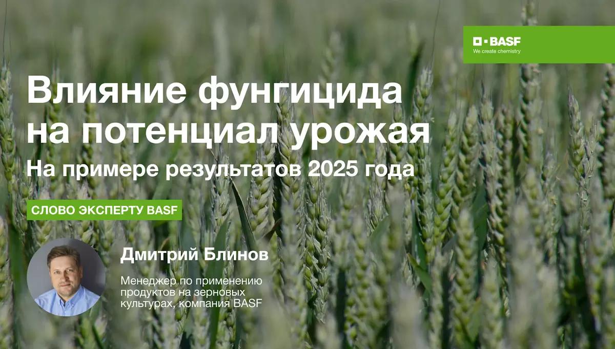 Влияние фунгицида на потенциал урожая