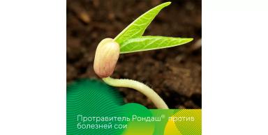 Фунгицидный протравитель Рондаш®: защита сои